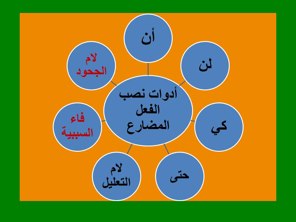 أمثلة على نصب الفعل المضارع