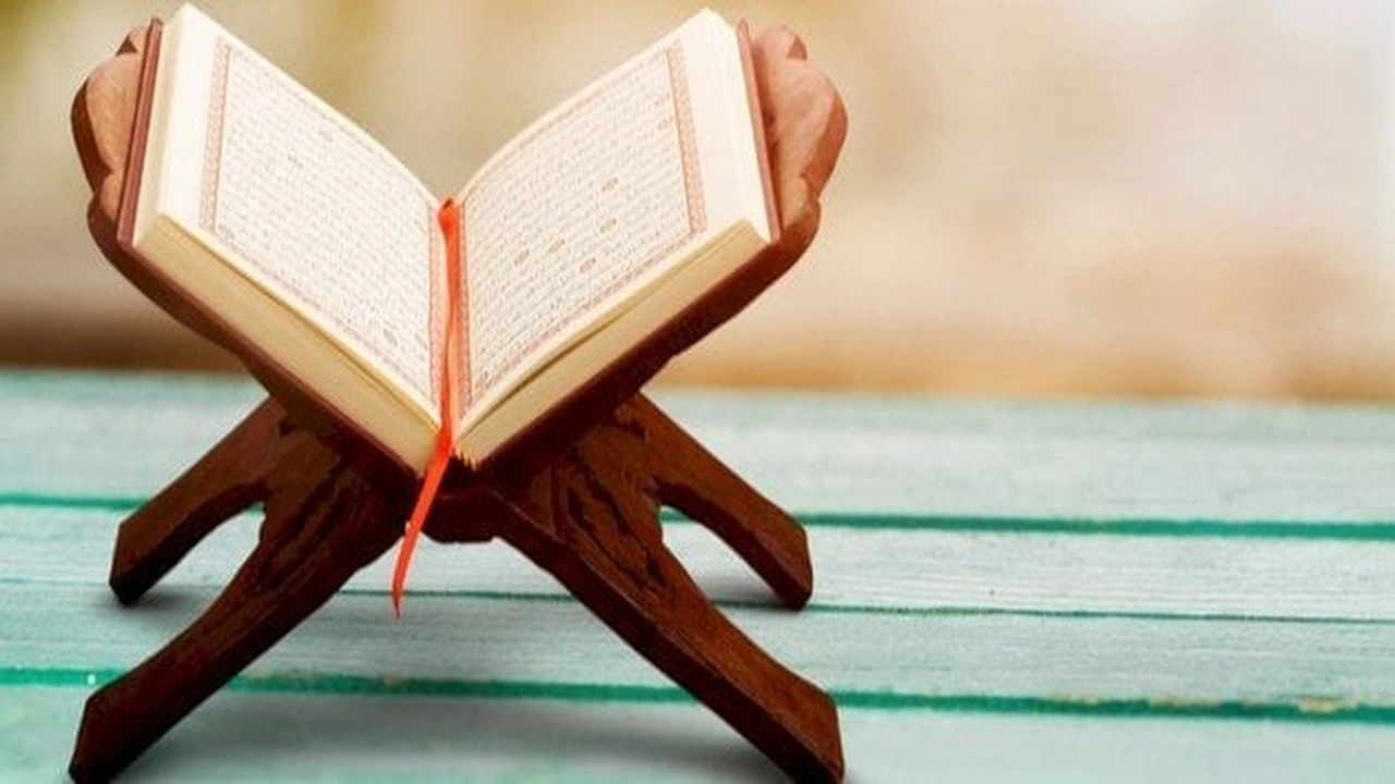 صورة أمثلة عن أحكام الميم الساكنة من القرآن الكريم