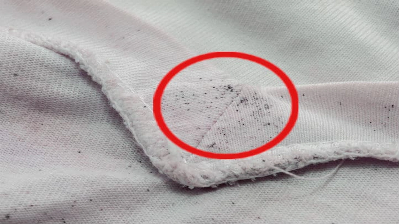 صورة إزالة بقع الرطوبة السوداء من الملابس
