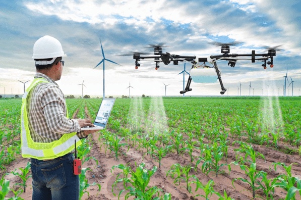 إيجابيات وسلبيات الزراعة الحديثة