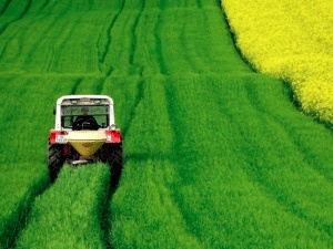 إيجابيات وسلبيات الزراعة الحديثة