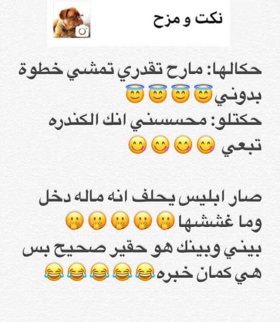 ابي نكت تضحك حيل