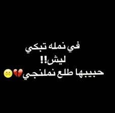 ابي نكت تضحك حيل