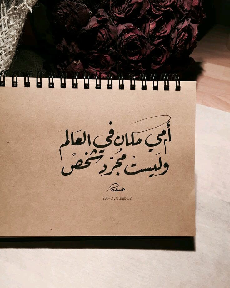 ابيات شعر جاهلي عن الام