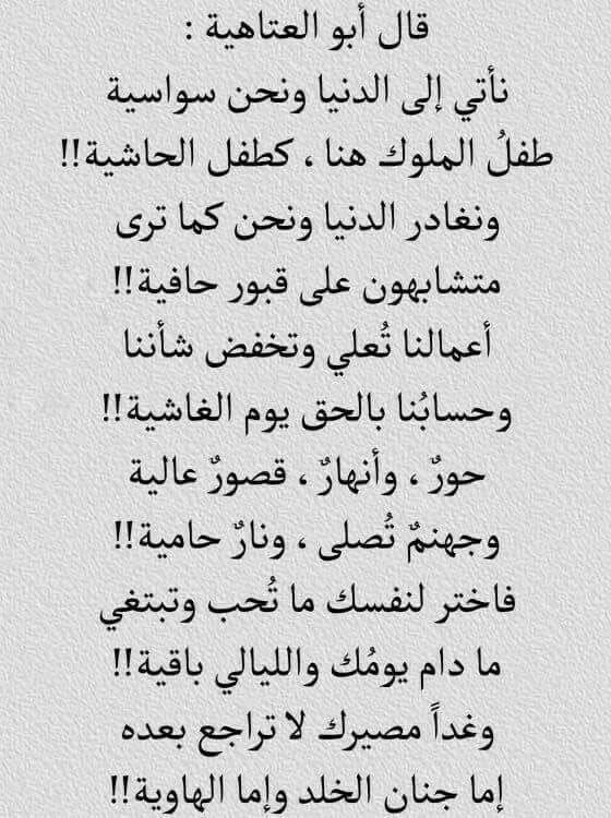 ابيات شعر جاهلي عن الحب
