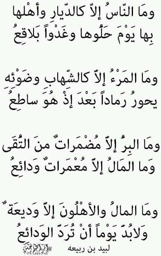 ابيات شعر جاهلي