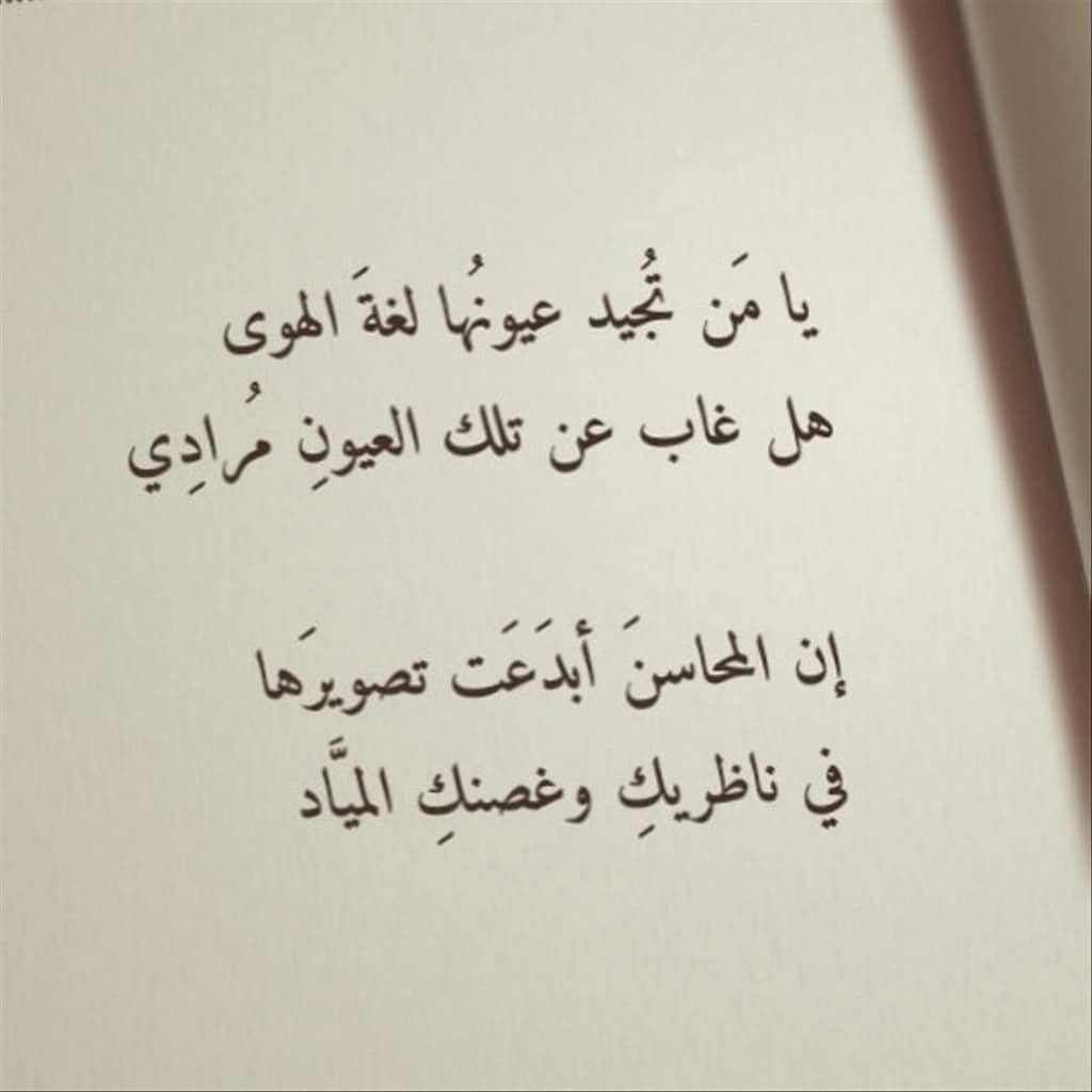 ابيات شعر حلوة وقويه