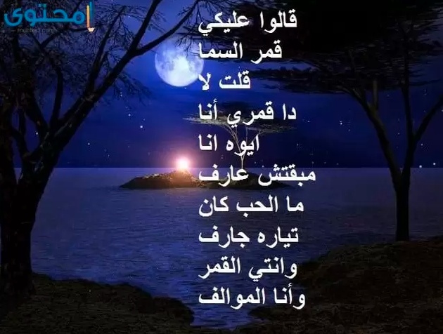 ابيات شعر عن الحب بالصور