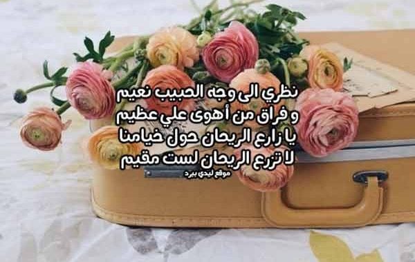 ابيات شعر عن الحبيب البعيد