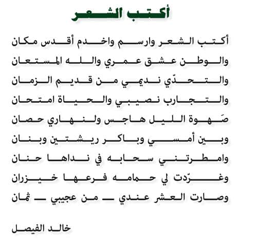 ابيات شعر عن حب الوطن