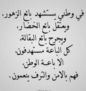 ابيات شعر عن حب الوطن
