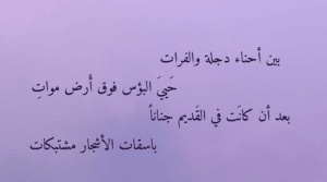 ابيات شعر عن دجلة