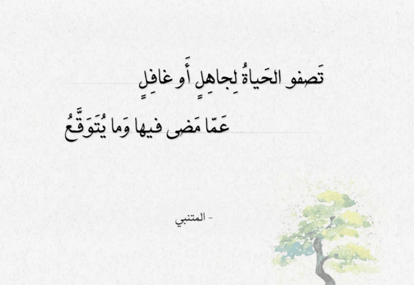 ابيات شعر عن دروس الحياة