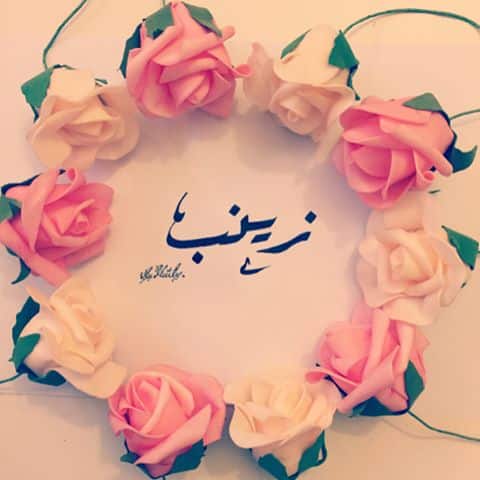 ابيات شعر عن زينب