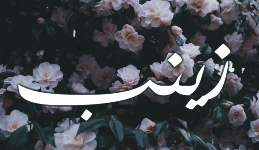 ابيات شعر عن زينب