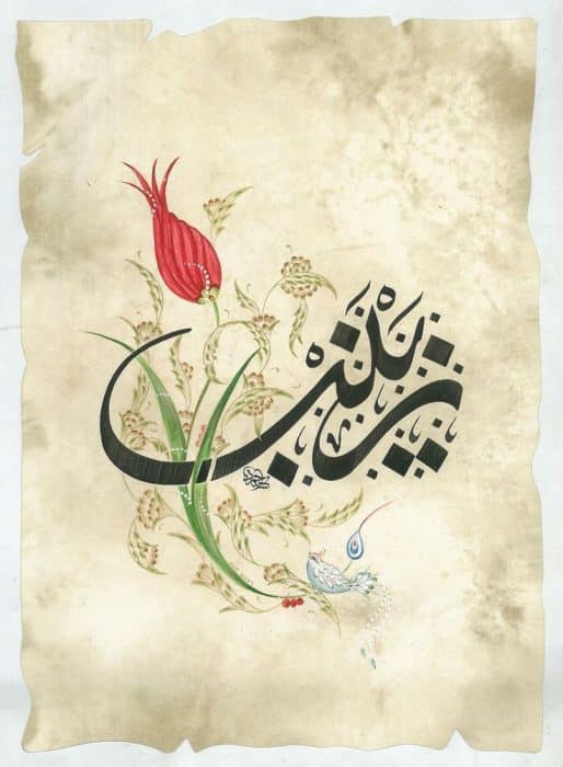 ابيات شعر عن زينب