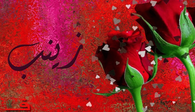 ابيات شعر عن زينب