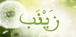 ابيات شعر عن زينب