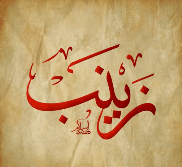 ابيات شعر عن زينب