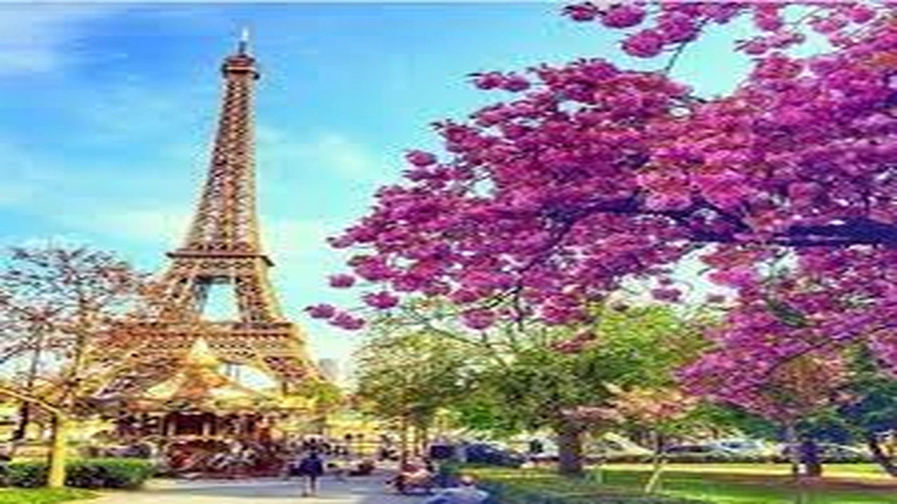 صورة ابيات شعر في باريس