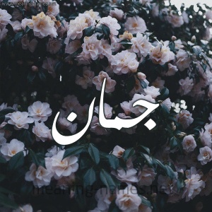 ابيات شعر في جمان
