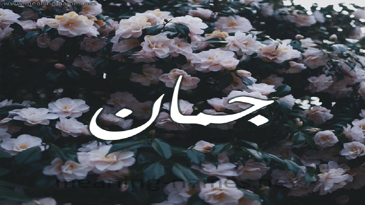 صورة ابيات شعر في جمان