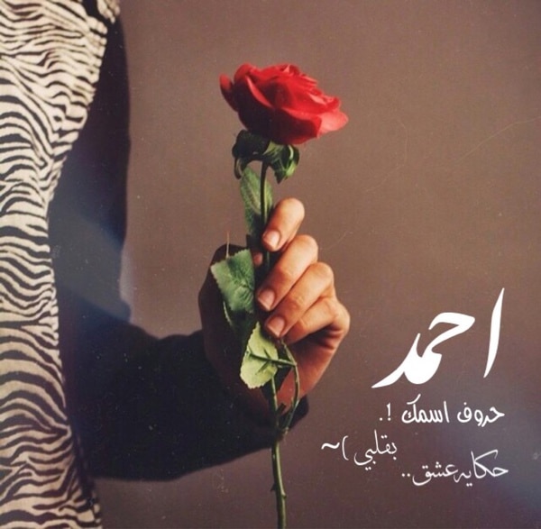 ابيات شعر في حمزة