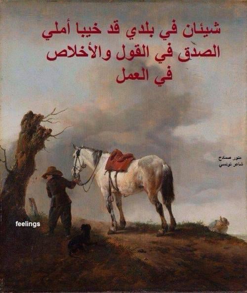 ابيات شعر في خيبة الظن