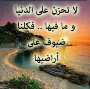 ابيات شعر في ذم الدنيا