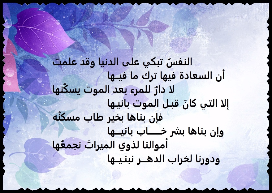 ابيات شعر في ذم الدنيا