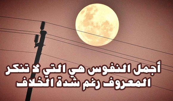 ابيات شعر في رد الجميل