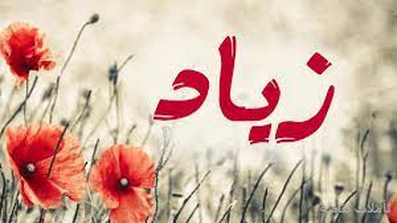 صورة ابيات شعر في زياد