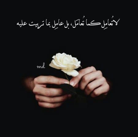 ابيات شعر في سوء الظن
