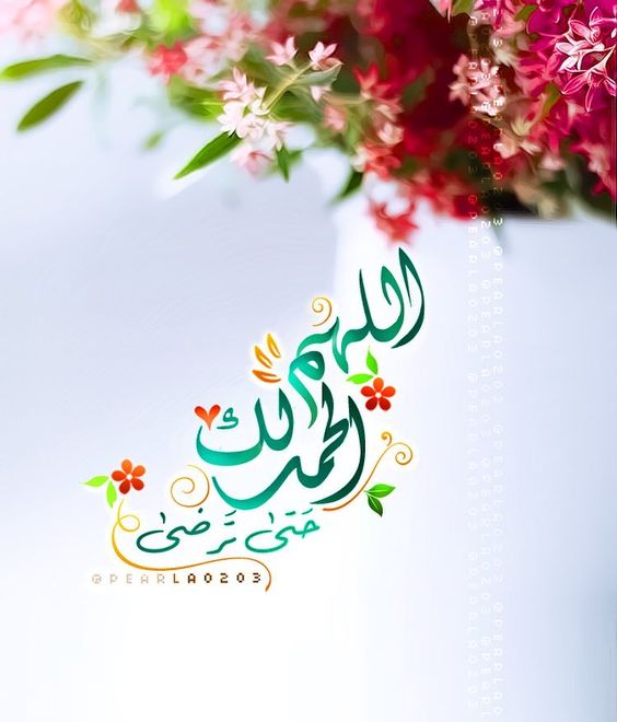 ابيات شعر في شكر النعم