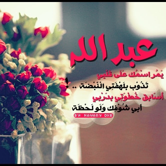 ابيات شعر في عبدالله