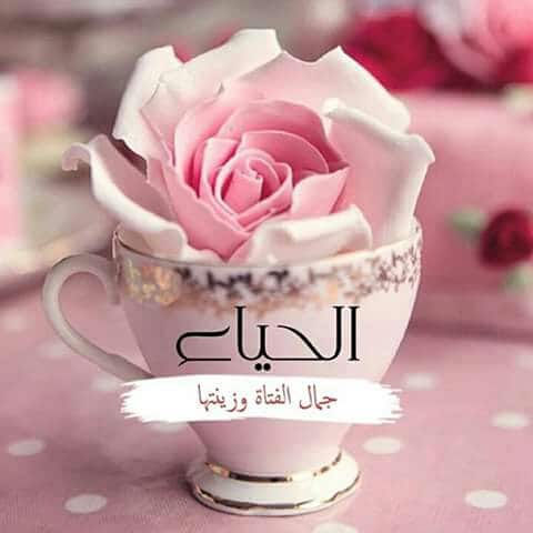 ابيات شعر في قلة الحياء