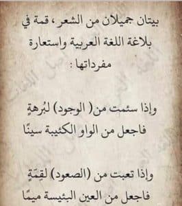 ابيات شعرية بليغة
