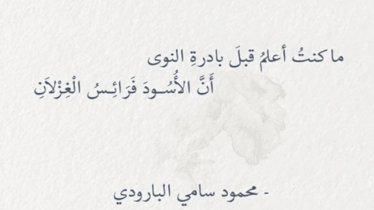 صورة ابيات شعرية تبدا بحرف الميم