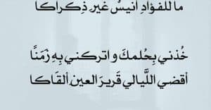 ابيات شعرية تصلح للانشاء