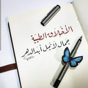 ابيات شعرية عن الأخلاق