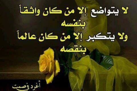 ابيات شعرية عن التواضع