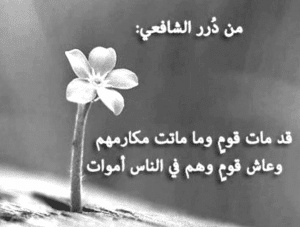 ابيات شعرية عن الحياة