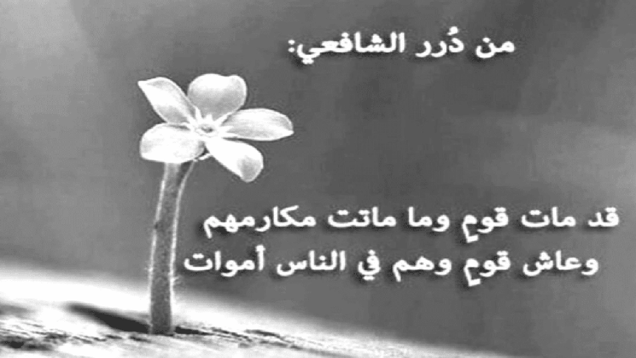 صورة ابيات شعرية عن الحياة