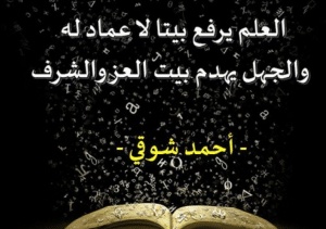 ابيات شعرية عن العلم