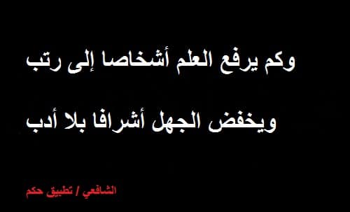 ابيات شعرية عن العلم