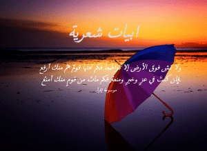 ابيات شعرية
