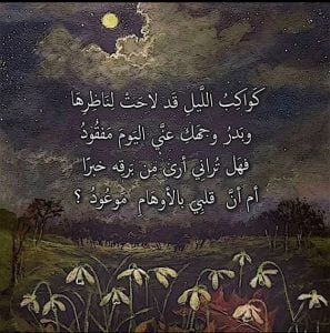ابيات شعريه غزليه بالفصحى