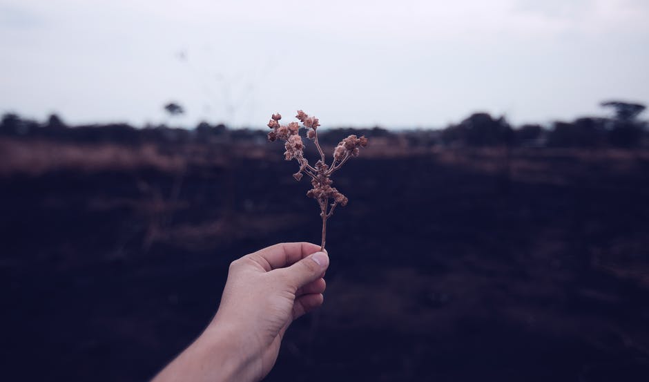 اجمل الصور المؤثرة والمعبرة