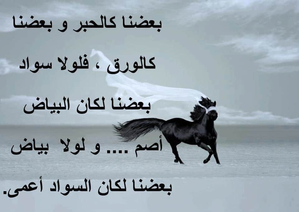 اجمل الصور المؤثرة والمعبرة