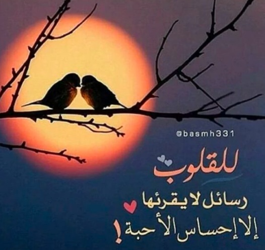 اجمل الصور خلفيات واتس اب 2020 للرجال
